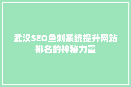 武汉SEO鱼刺系统提升网站排名的神秘力量