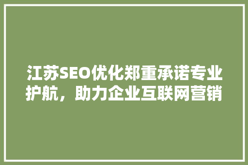 江苏SEO优化郑重承诺专业护航，助力企业互联网营销腾飞