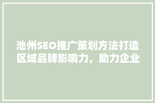 池州SEO推广策划方法打造区域品牌影响力，助力企业腾飞