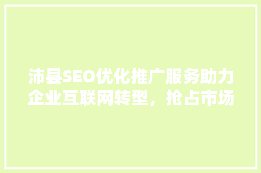 沛县SEO优化推广服务助力企业互联网转型，抢占市场先机  第1张