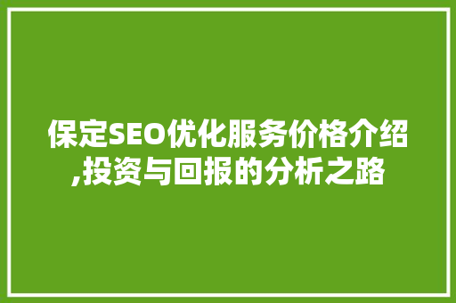 保定SEO优化服务价格介绍,投资与回报的分析之路