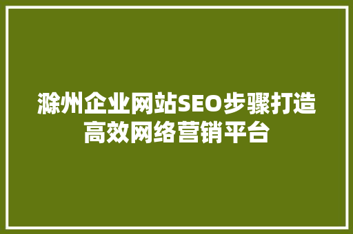 滁州企业网站SEO步骤打造高效网络营销平台