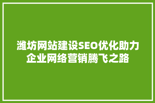 潍坊网站建设SEO优化助力企业网络营销腾飞之路