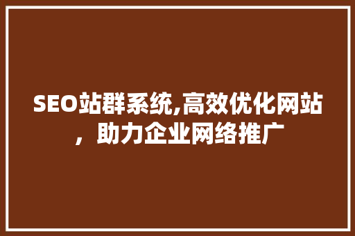 SEO站群系统,高效优化网站，助力企业网络推广