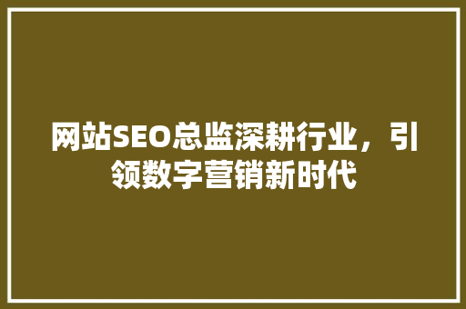 网站SEO总监深耕行业，引领数字营销新时代