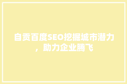 自贡百度SEO挖掘城市潜力，助力企业腾飞