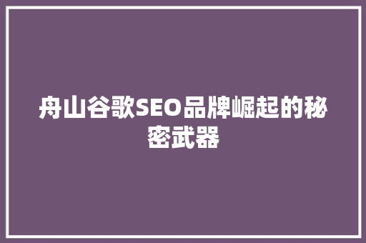 舟山谷歌SEO品牌崛起的秘密武器