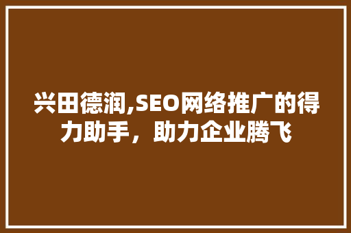 兴田德润,SEO网络推广的得力助手，助力企业腾飞