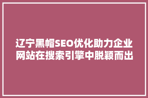 辽宁黑帽SEO优化助力企业网站在搜索引擎中脱颖而出