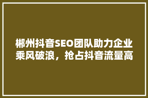 郴州抖音SEO团队助力企业乘风破浪，抢占抖音流量高地