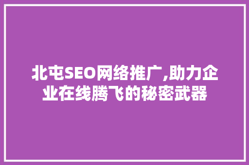 北屯SEO网络推广,助力企业在线腾飞的秘密武器