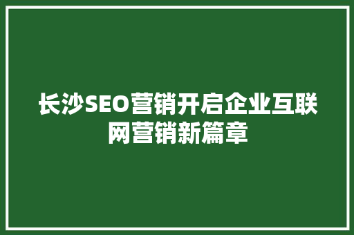 长沙SEO营销开启企业互联网营销新篇章