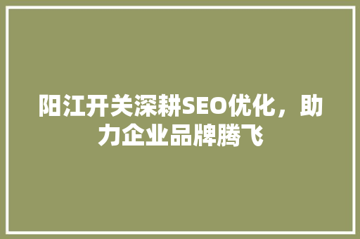 阳江开关深耕SEO优化，助力企业品牌腾飞
