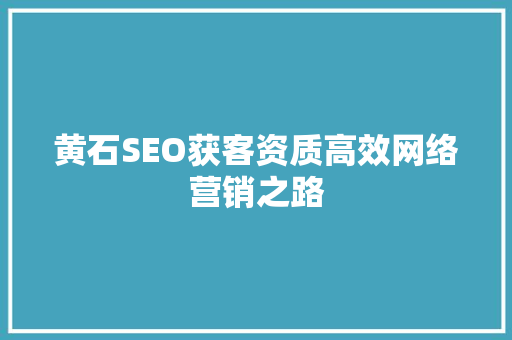 黄石SEO获客资质高效网络营销之路
