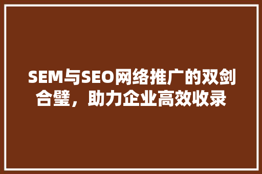 SEM与SEO网络推广的双剑合璧，助力企业高效收录