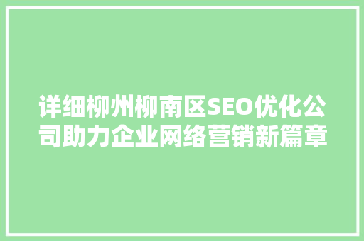 详细柳州柳南区SEO优化公司助力企业网络营销新篇章