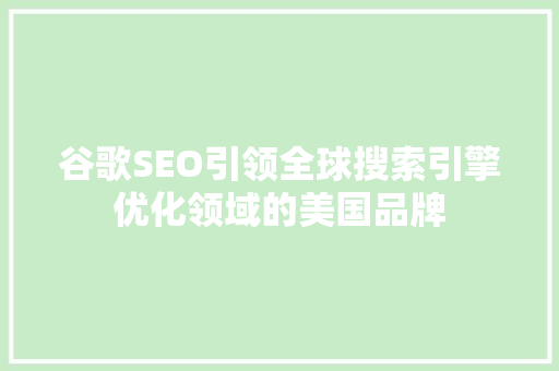 谷歌SEO引领全球搜索引擎优化领域的美国品牌