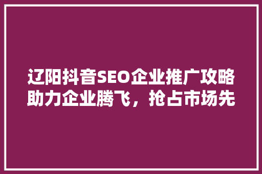 辽阳抖音SEO企业推广攻略助力企业腾飞，抢占市场先机