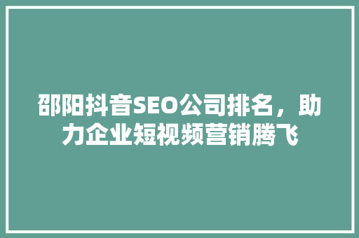 邵阳抖音SEO公司排名，助力企业短视频营销腾飞