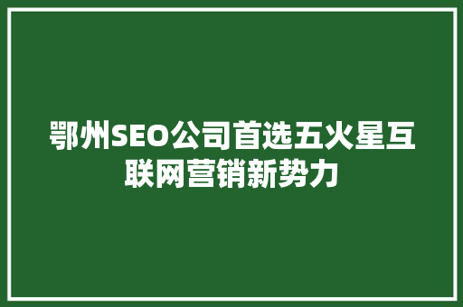 鄂州SEO公司首选五火星互联网营销新势力
