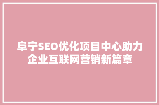 阜宁SEO优化项目中心助力企业互联网营销新篇章