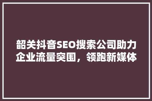 韶关抖音SEO搜索公司助力企业流量突围，领跑新媒体营销新趋势