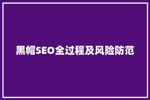 黑帽SEO全过程及风险防范  第1张