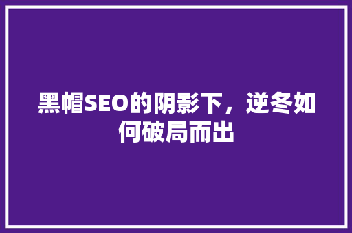 黑帽SEO的阴影下，逆冬如何破局而出