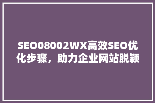 SEO08002WX高效SEO优化步骤，助力企业网站脱颖而出