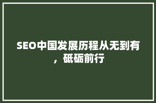 SEO中国发展历程从无到有，砥砺前行