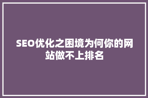 SEO优化之困境为何你的网站做不上排名