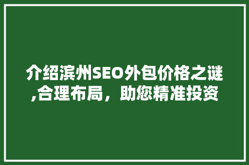 介绍滨州SEO外包价格之谜,合理布局，助您精准投资