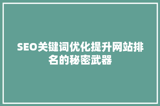 SEO关键词优化提升网站排名的秘密武器