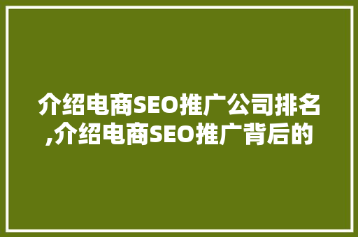 介绍电商SEO推广公司排名,介绍电商SEO推广背后的秘密  第1张