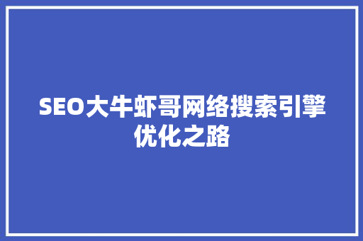 SEO大牛虾哥网络搜索引擎优化之路