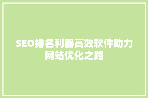SEO排名利器高效软件助力网站优化之路