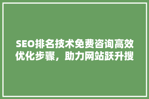 SEO排名技术免费咨询高效优化步骤，助力网站跃升搜索引擎前列  第1张
