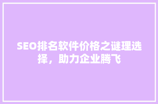SEO排名软件价格之谜理选择，助力企业腾飞