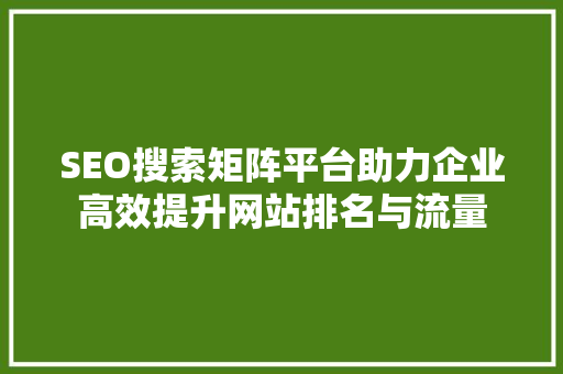 SEO搜索矩阵平台助力企业高效提升网站排名与流量