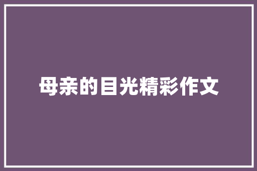 SEO数据分析网站优化之路，助力企业腾飞