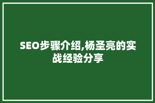 SEO步骤介绍,杨圣亮的实战经验分享