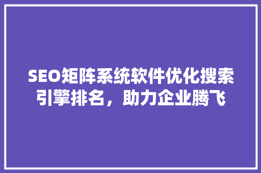 SEO矩阵系统软件优化搜索引擎排名，助力企业腾飞  第1张