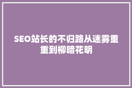 SEO站长的不归路从迷雾重重到柳暗花明