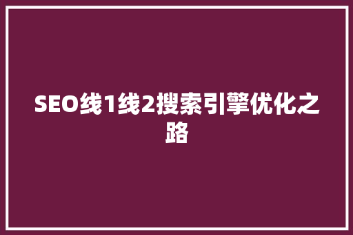 SEO线1线2搜索引擎优化之路