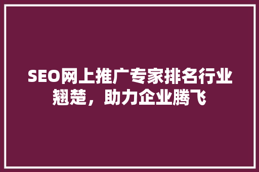 SEO网上推广专家排名行业翘楚，助力企业腾飞