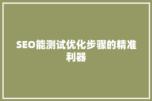 SEO能测试优化步骤的精准利器