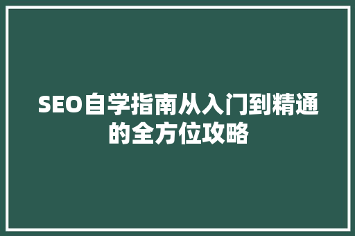 SEO自学指南从入门到精通的全方位攻略