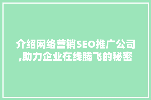 介绍网络营销SEO推广公司,助力企业在线腾飞的秘密武器  第1张