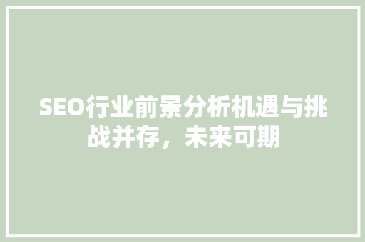SEO行业前景分析机遇与挑战并存，未来可期