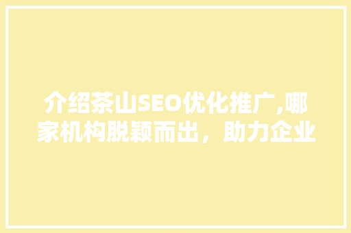 介绍茶山SEO优化推广,哪家机构脱颖而出，助力企业腾飞